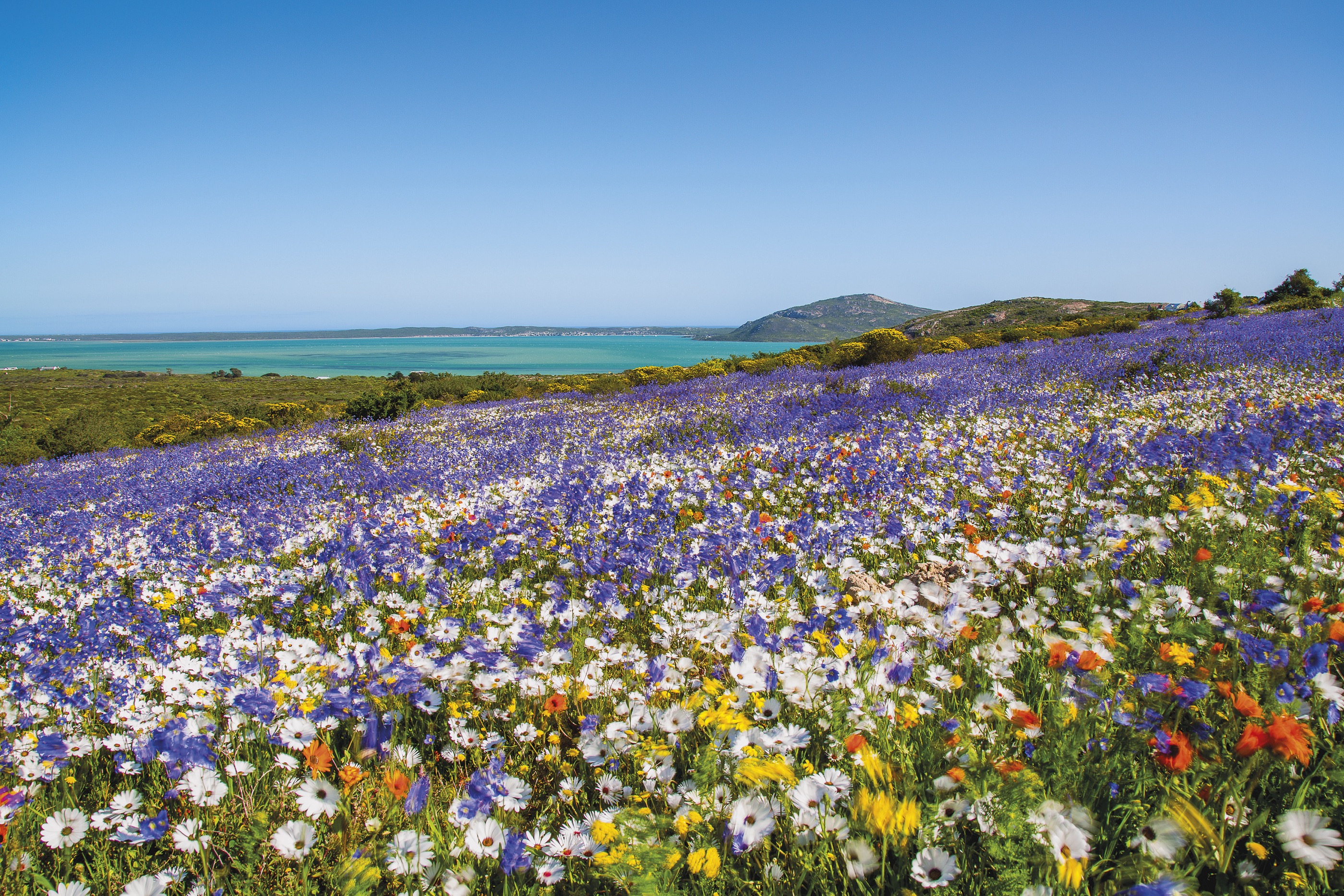 Scenic view of the rugged coastline in South Africa's West Coast National Park.